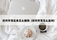 软件开发出来怎么赚钱（软件开发怎么盈利）