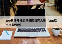 app软件开发流程吴彦祖苏大强（app软件开发教程）