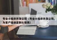 专业小程序开发公司（专业小程序开发公司,为客户提供定制化服务）