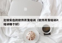 比较实在的软件开发培训（软件开发培训it培训哪个好）